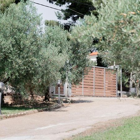 Aelia Apartamento Metamorfosi  Exterior foto