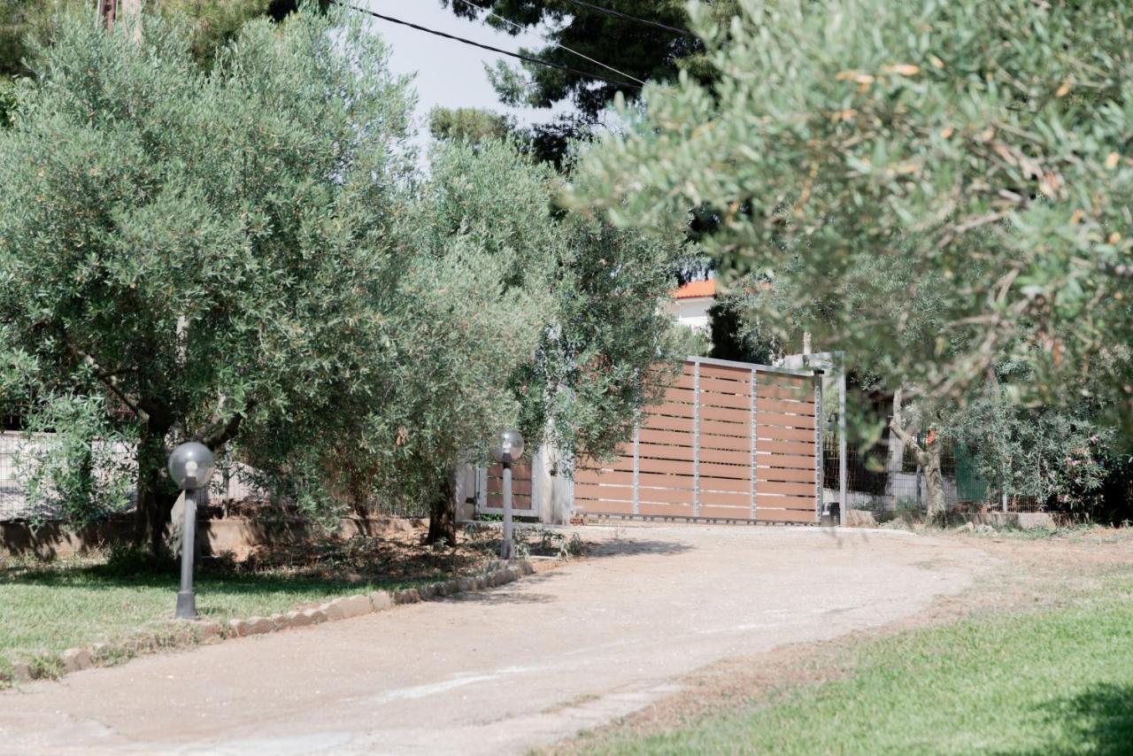 Aelia Apartamento Metamorfosi  Exterior foto